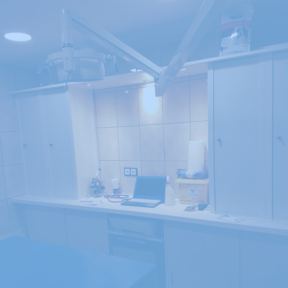 Gabinet weterynaryjny Havannavet w Harderwijk